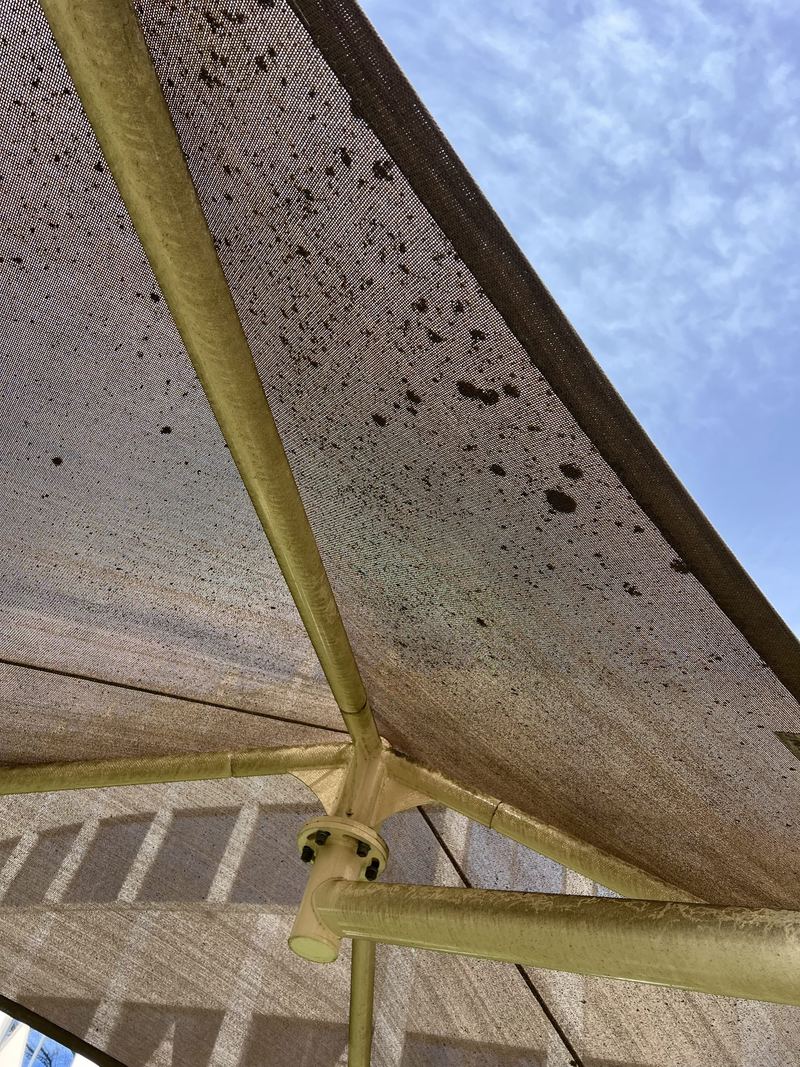 A shade sail spotted with mildew
